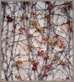 Ivy/Stucco