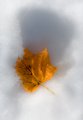 leaf n sno