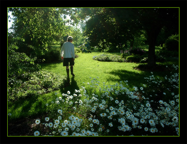 garden