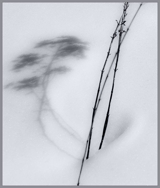 sno-shadow 1