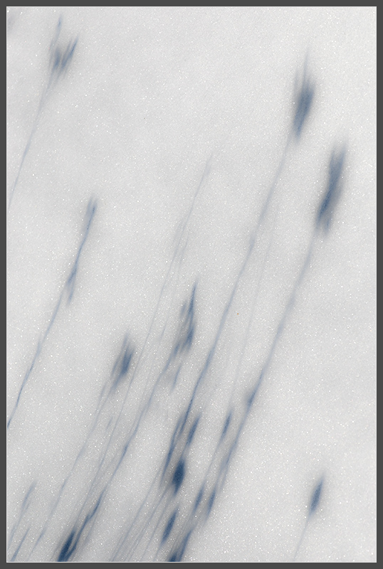 sno-shadow 2