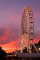 IMG_130_resize.jpg