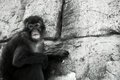 DSC_0255E.JPG