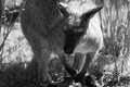 DSC_0162E.JPG