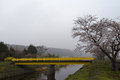 Yellow Bridge II