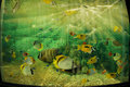 Cracked Tank