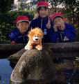 Lester and Friends