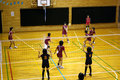 Volleyball Comp