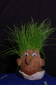 Mr Hair Tonic Pt 2