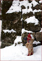 Nikko Hydrant '05