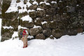 Nikko Hydrant '05 Original