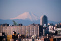 Godzilla and Mt Fuji
