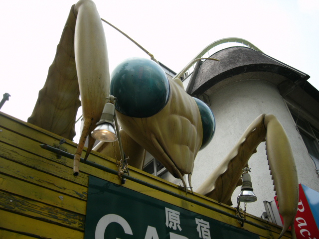 mantis.jpg