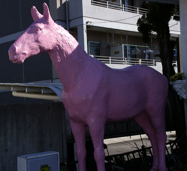 pink horse.jpg