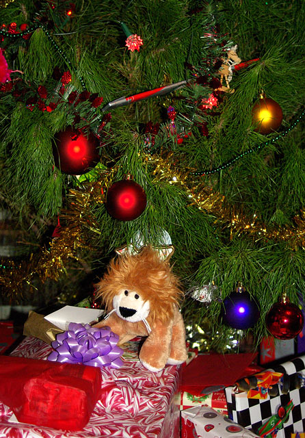 Lester and Christmas stuff