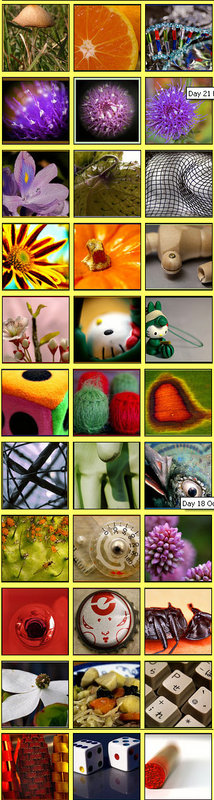 30DayMacro2006