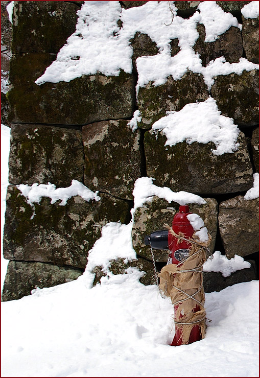 Nikko Hydrant '05