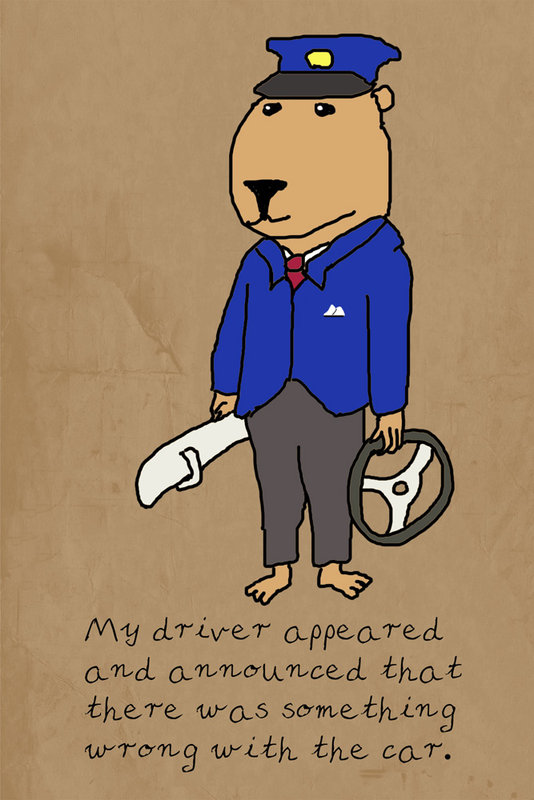 My Driver