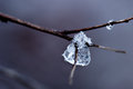 CRW_7069web.jpg