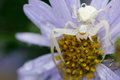 IMG_9681web.jpg