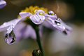 IMG_9718web.jpg