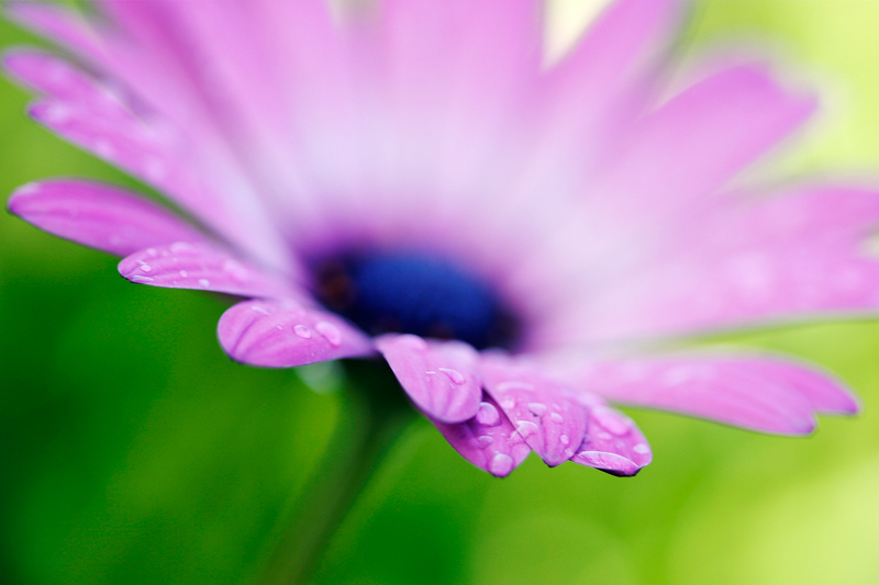 IMG_6225web.jpg