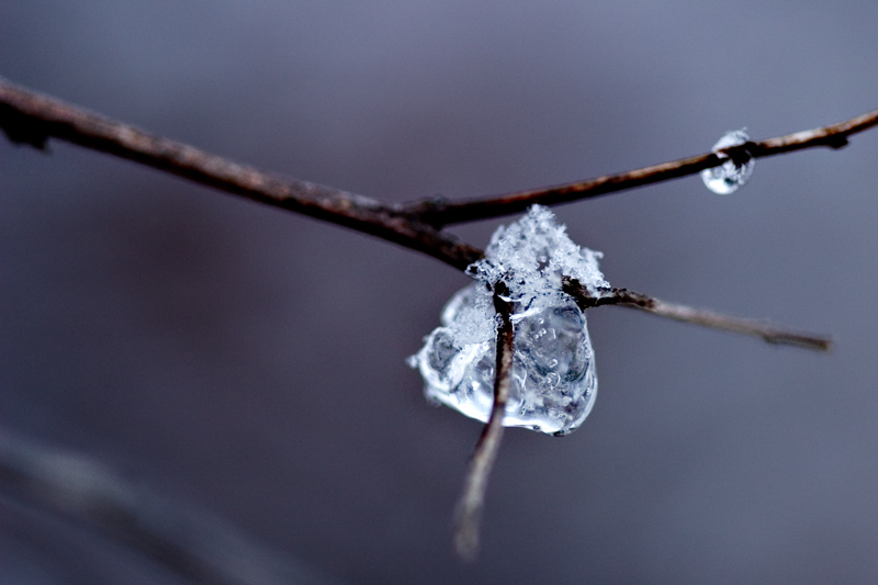 CRW_7069web.jpg