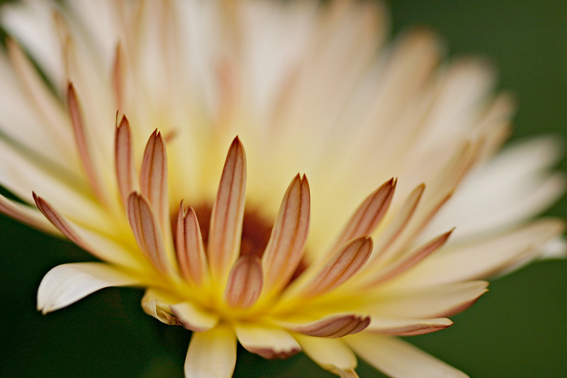 IMG_9627web.jpg