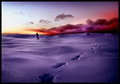Expedition