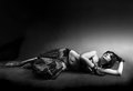 Fritzi