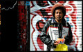 rasta beats