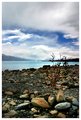 Lake Pukaki Two