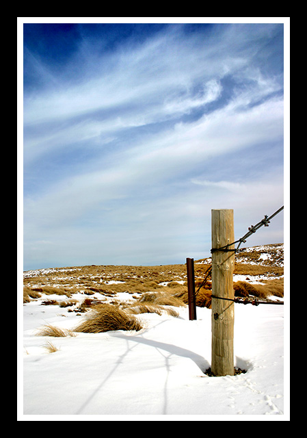 Alpine Plateau