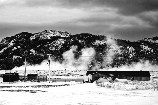 Ice fog.jpg