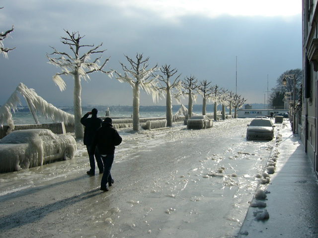 P1000245.jpg