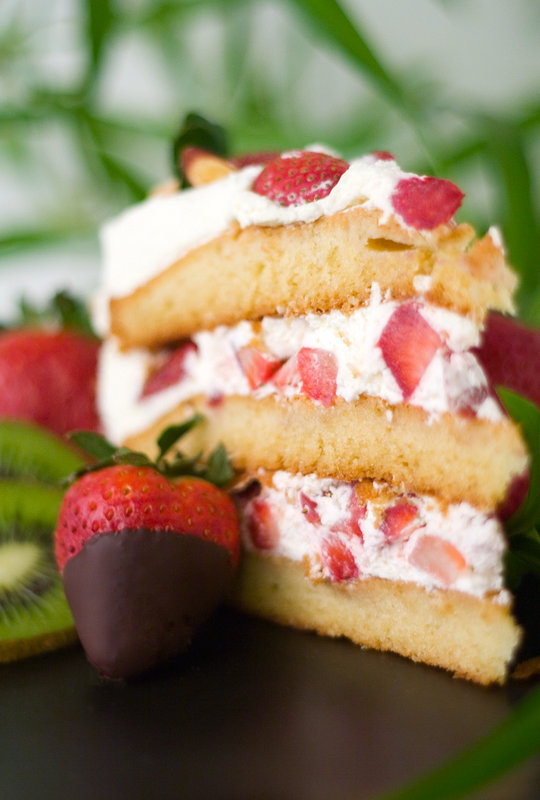 shortcake01.jpg