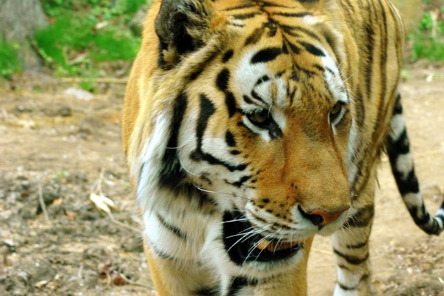 DSC_3252.jpg