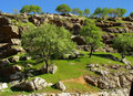 DSC01175b.jpg