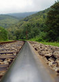 DSC05744.jpg