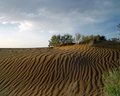 DSC06873.jpg