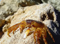 DSC04235.jpg