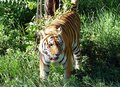 DSC05077.jpg