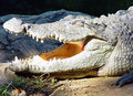 DSC05051.jpg