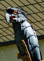 DSC05019.jpg