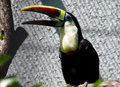 DSC05010.jpg