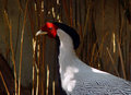 DSC05007.jpg