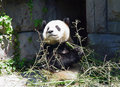 DSC04977.jpg
