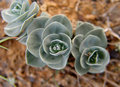DSC07054.jpg