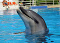 DSC01815.jpg