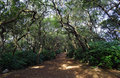 _DSC0039a.jpg